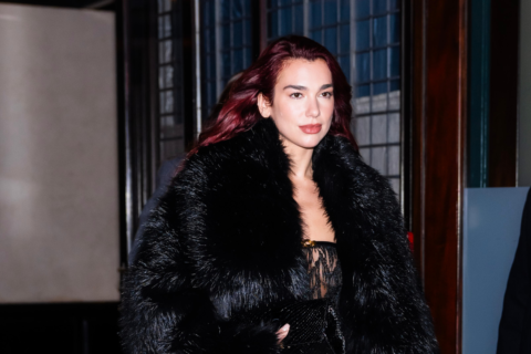 Dua Lipa Mob Wife aesthetic